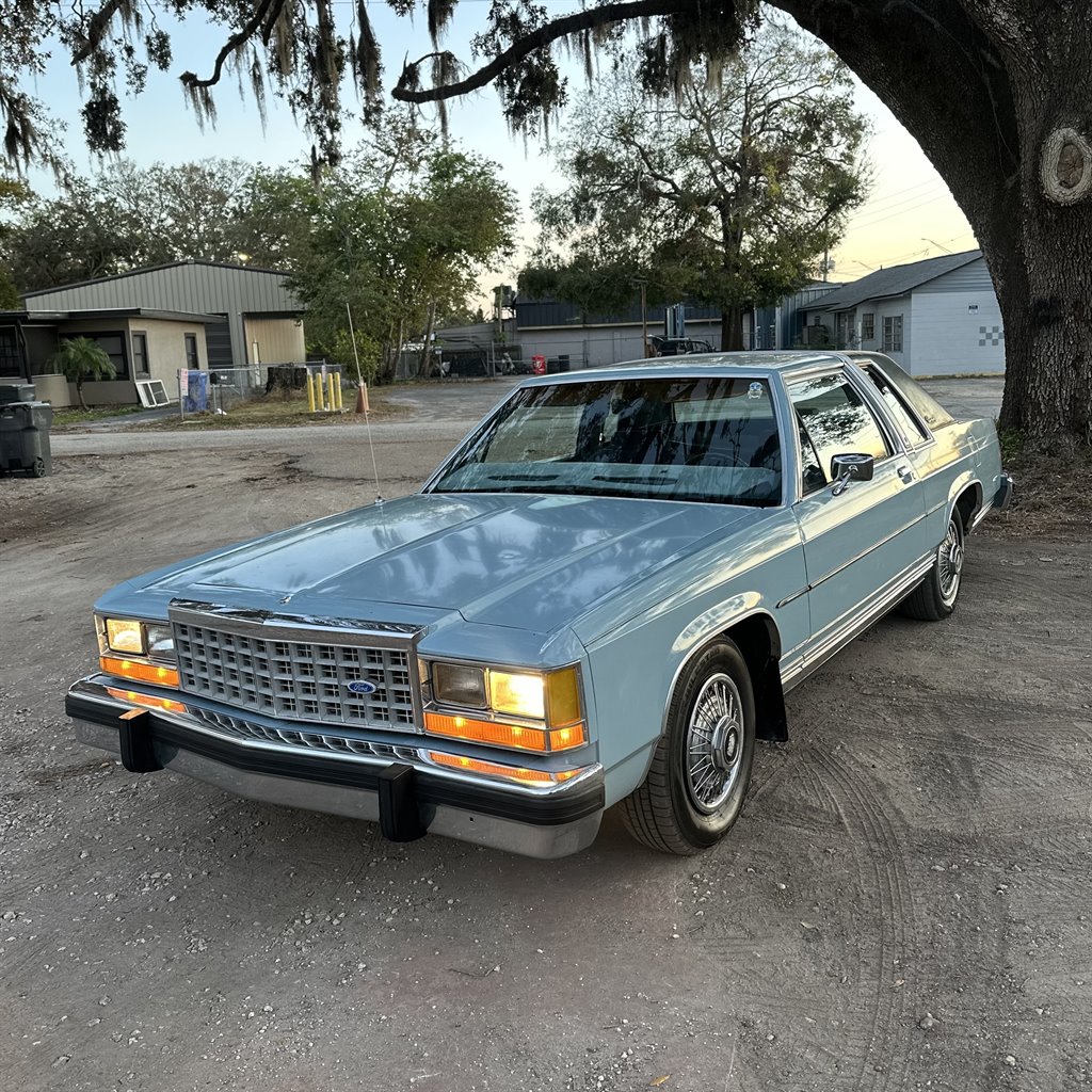 Ford LTD's photo